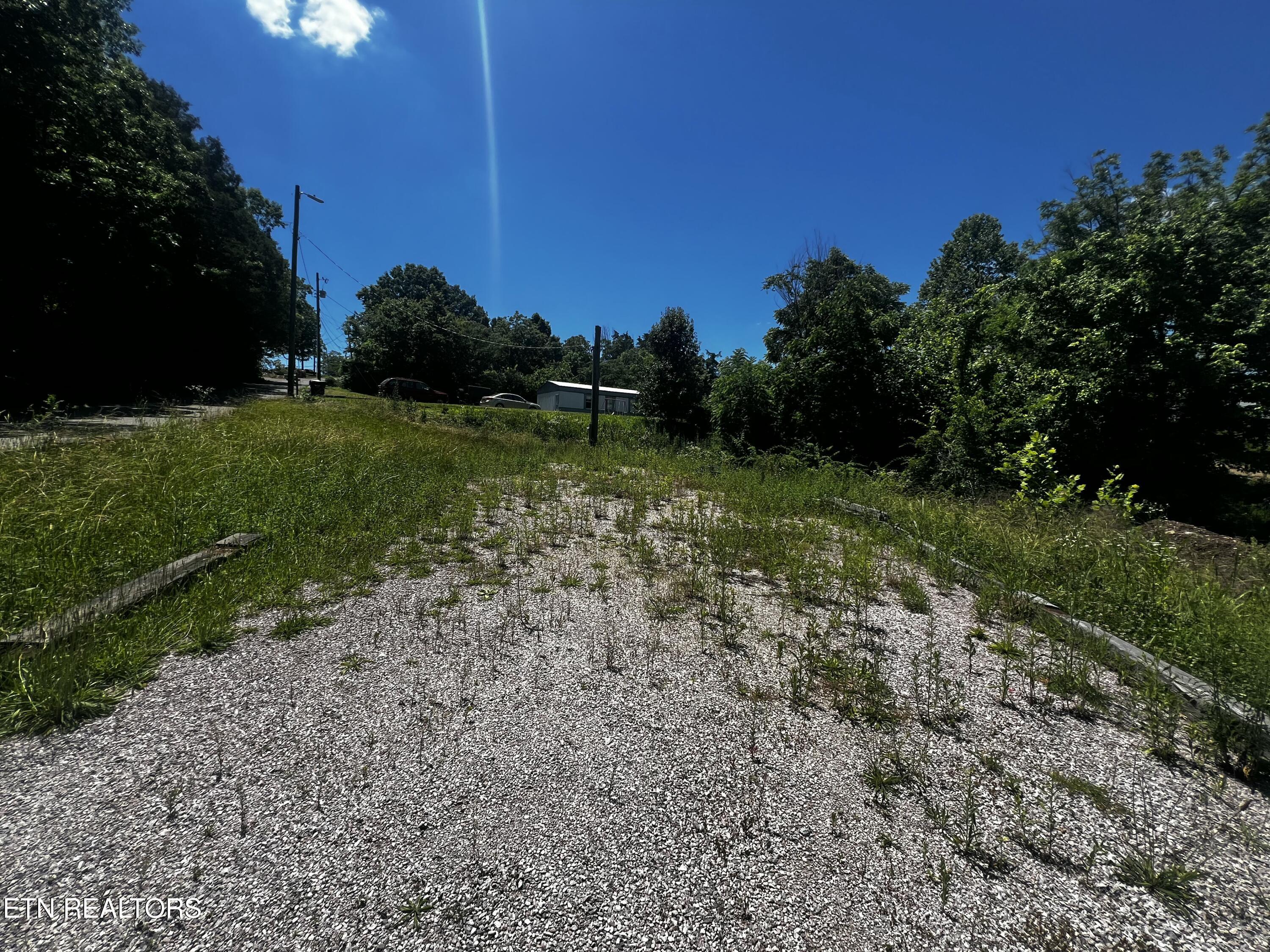 Image 3: IMG_1634
