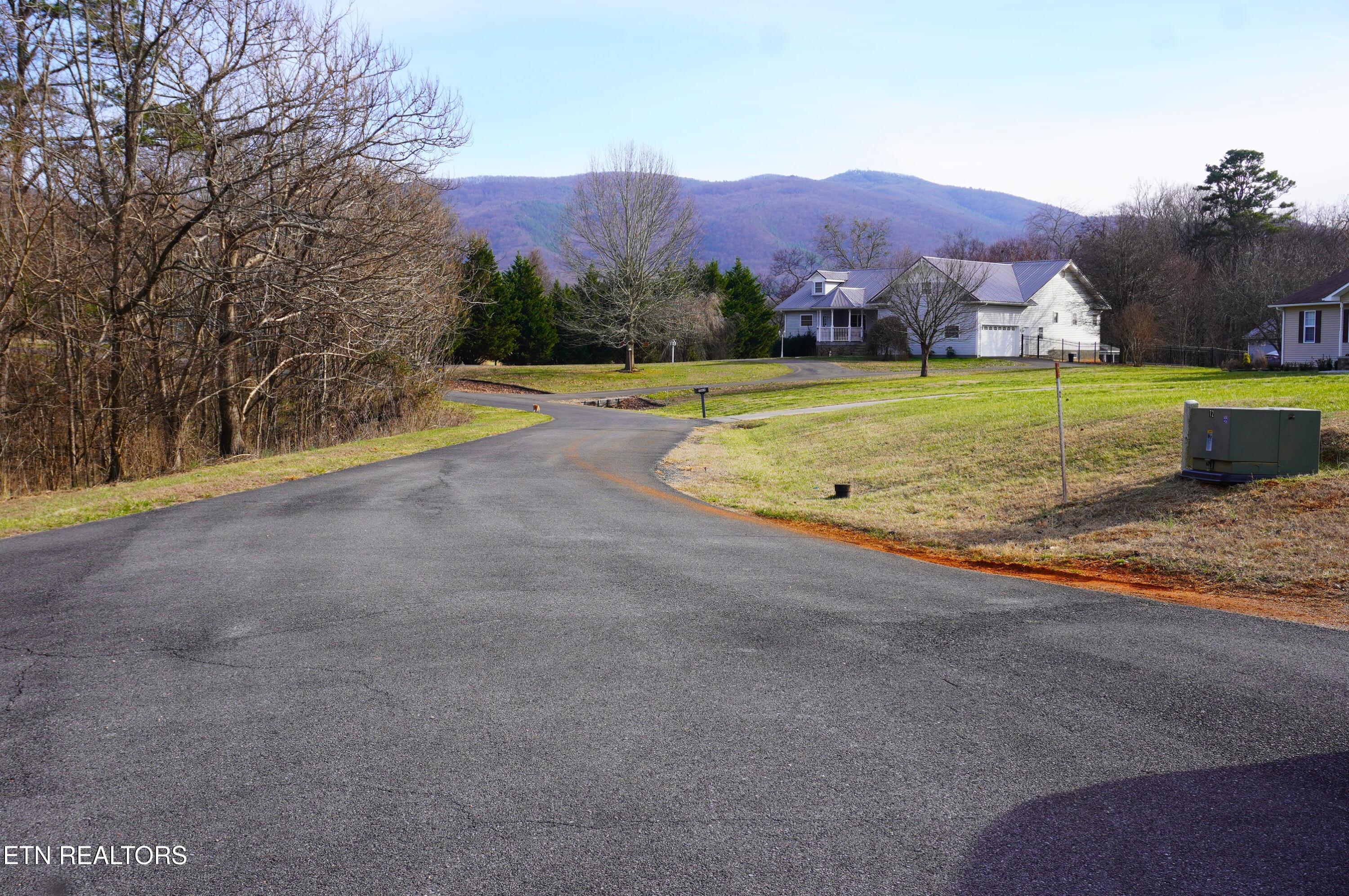 Image 4: farm rd - grube (56)