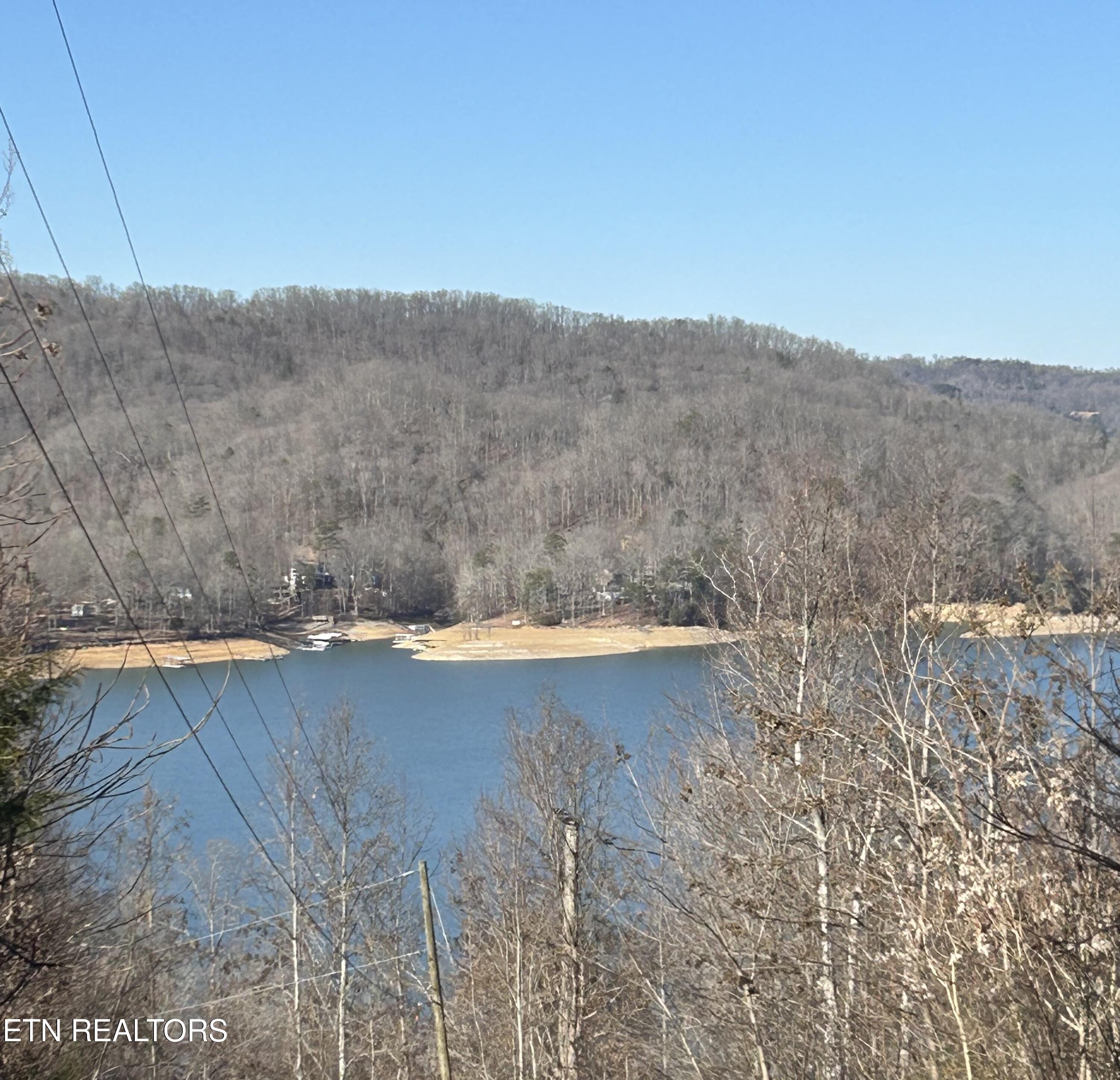 Image 1: IMG_4605 (1)