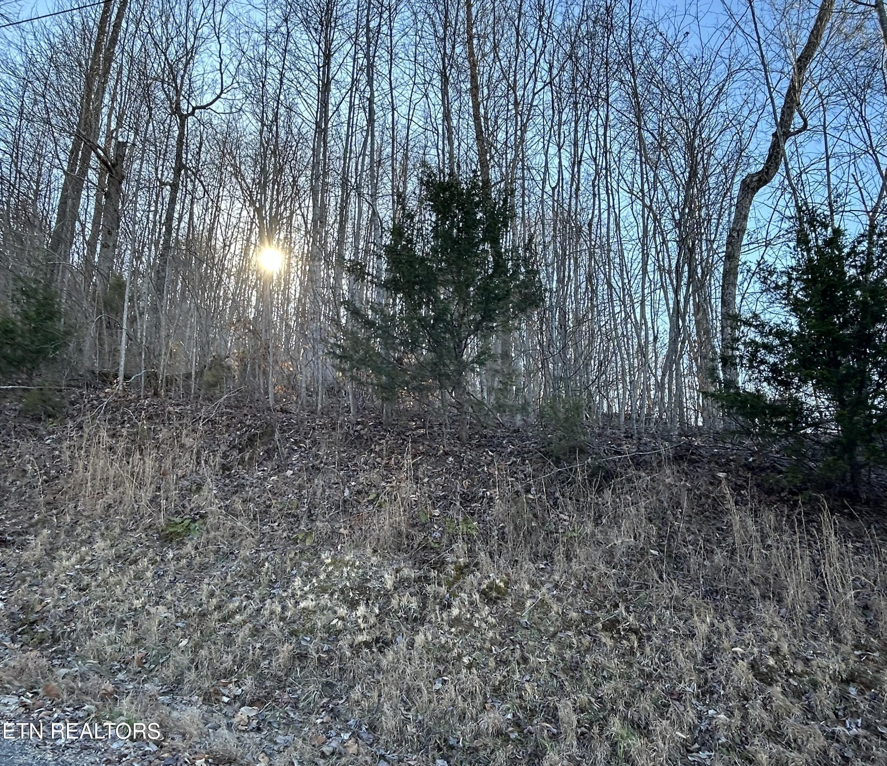 Image 2: IMG_4609 (1)
