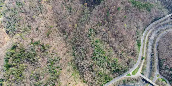 Image 2: DJI_0184
