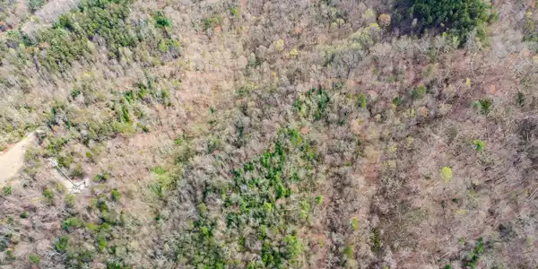 Image 3: DJI_0185