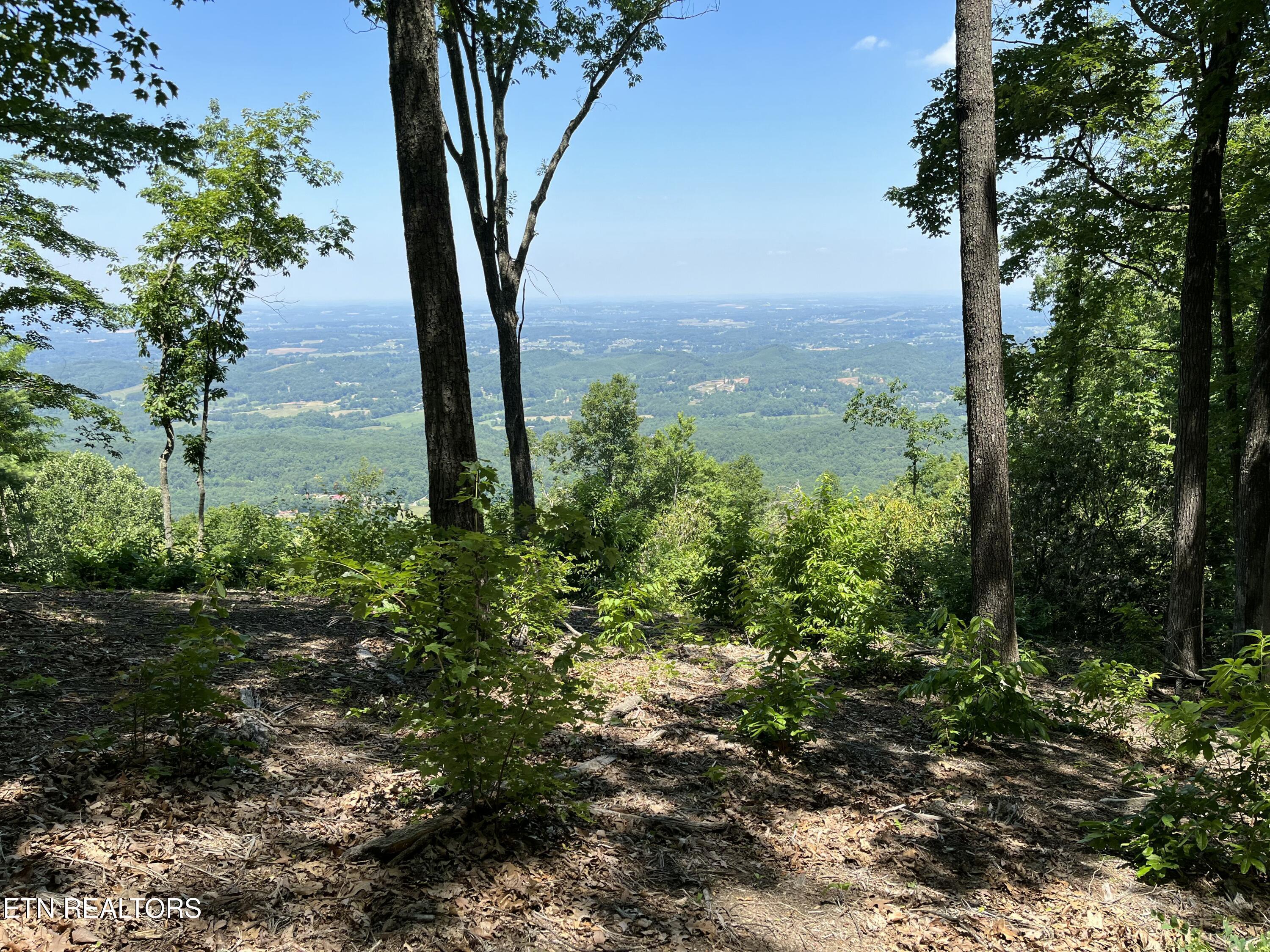 Image 2: IMG_0691