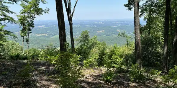 Image 2: IMG_0691