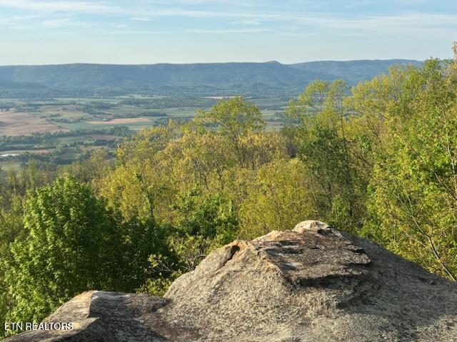Image 1: IMG_0082