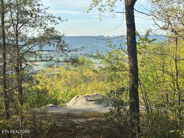 Image 2: IMG_0073