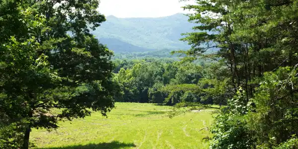00 Rhyne Camp Rd