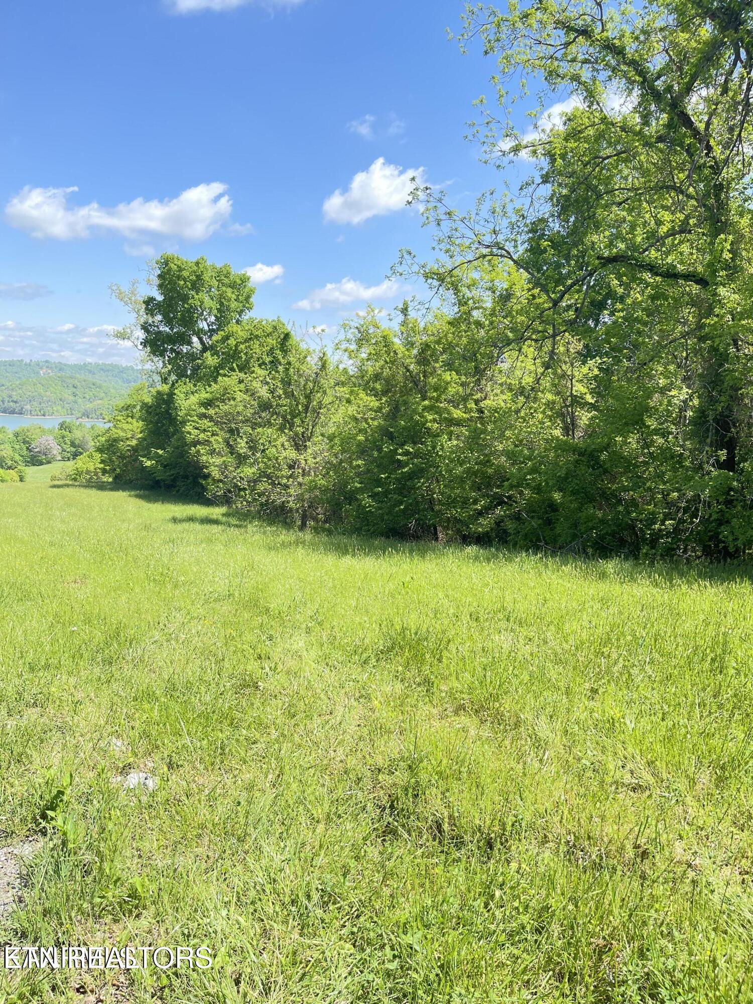Image 1: lot 17 6