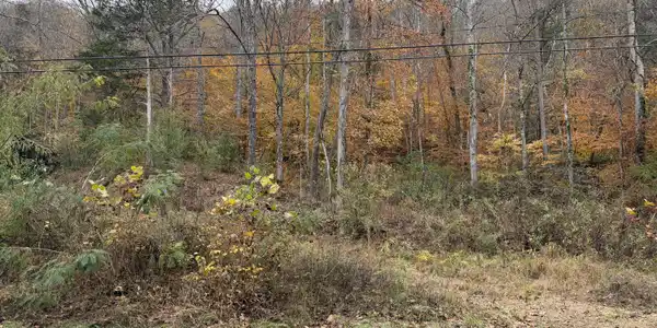 Stinking Creek Rd