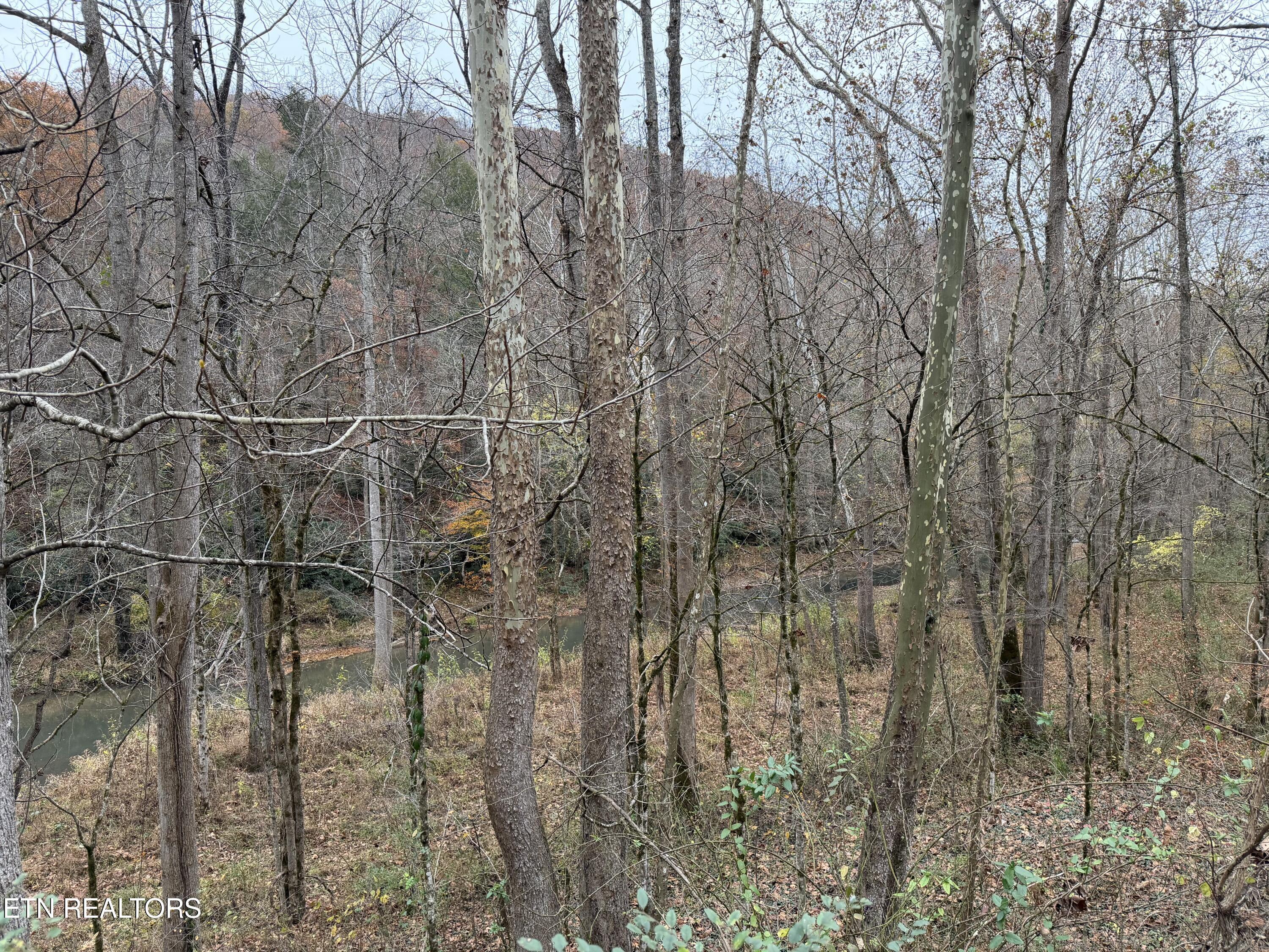 Image 2: IMG_3774