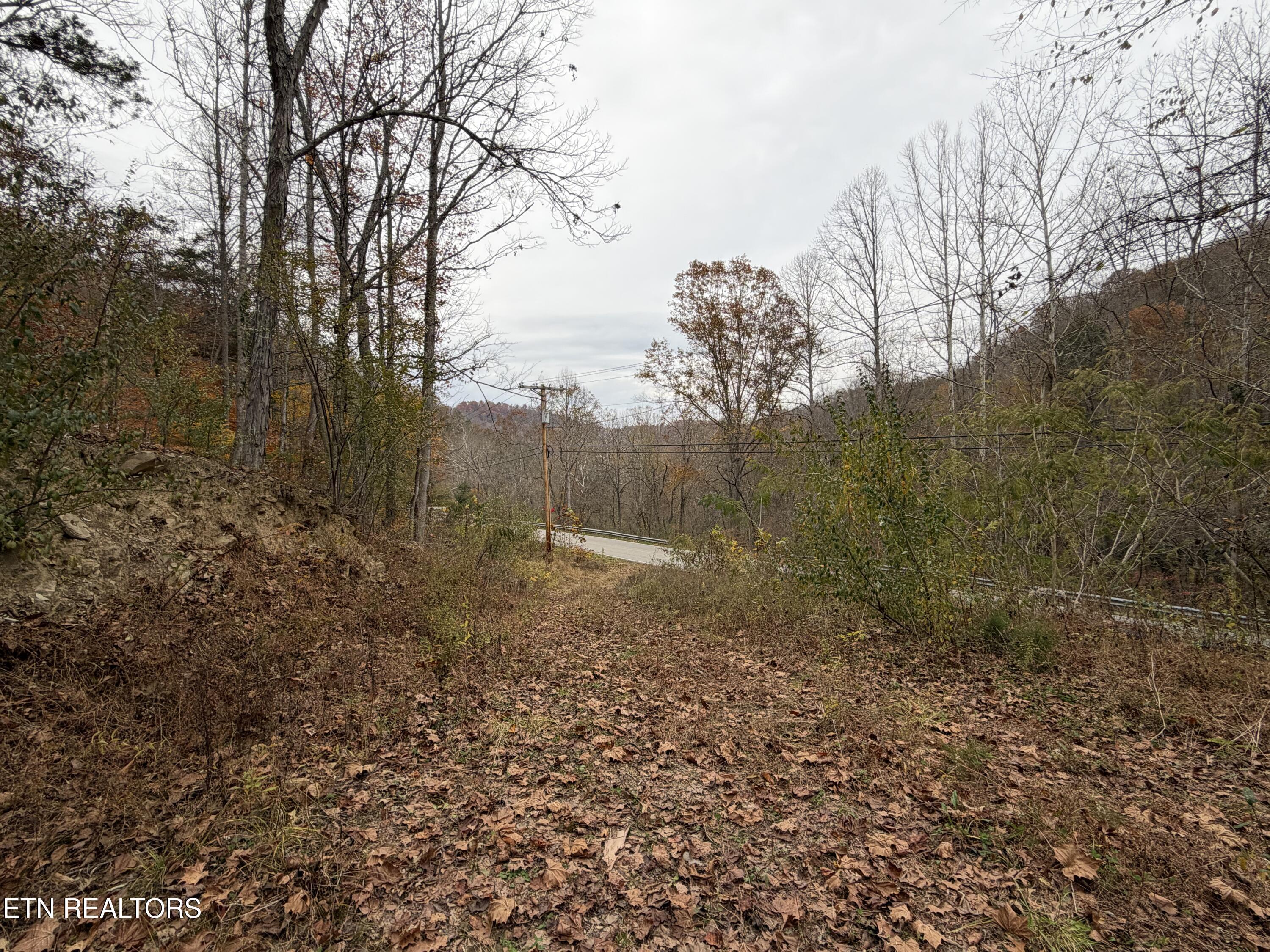 Image 4: IMG_3779