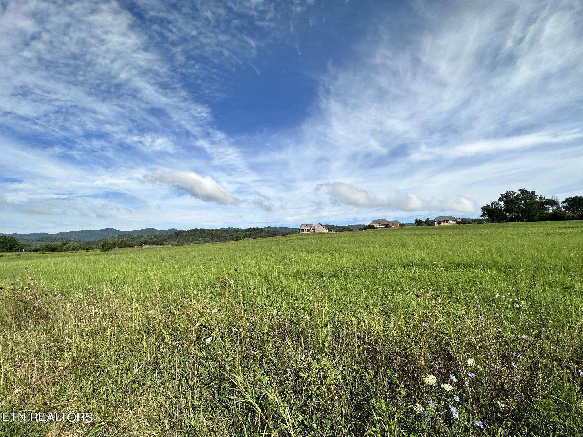 Image 2: IMG_4233