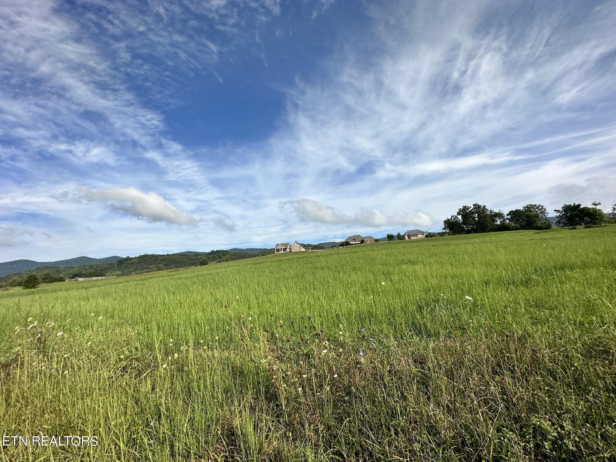 Image 3: IMG_4234