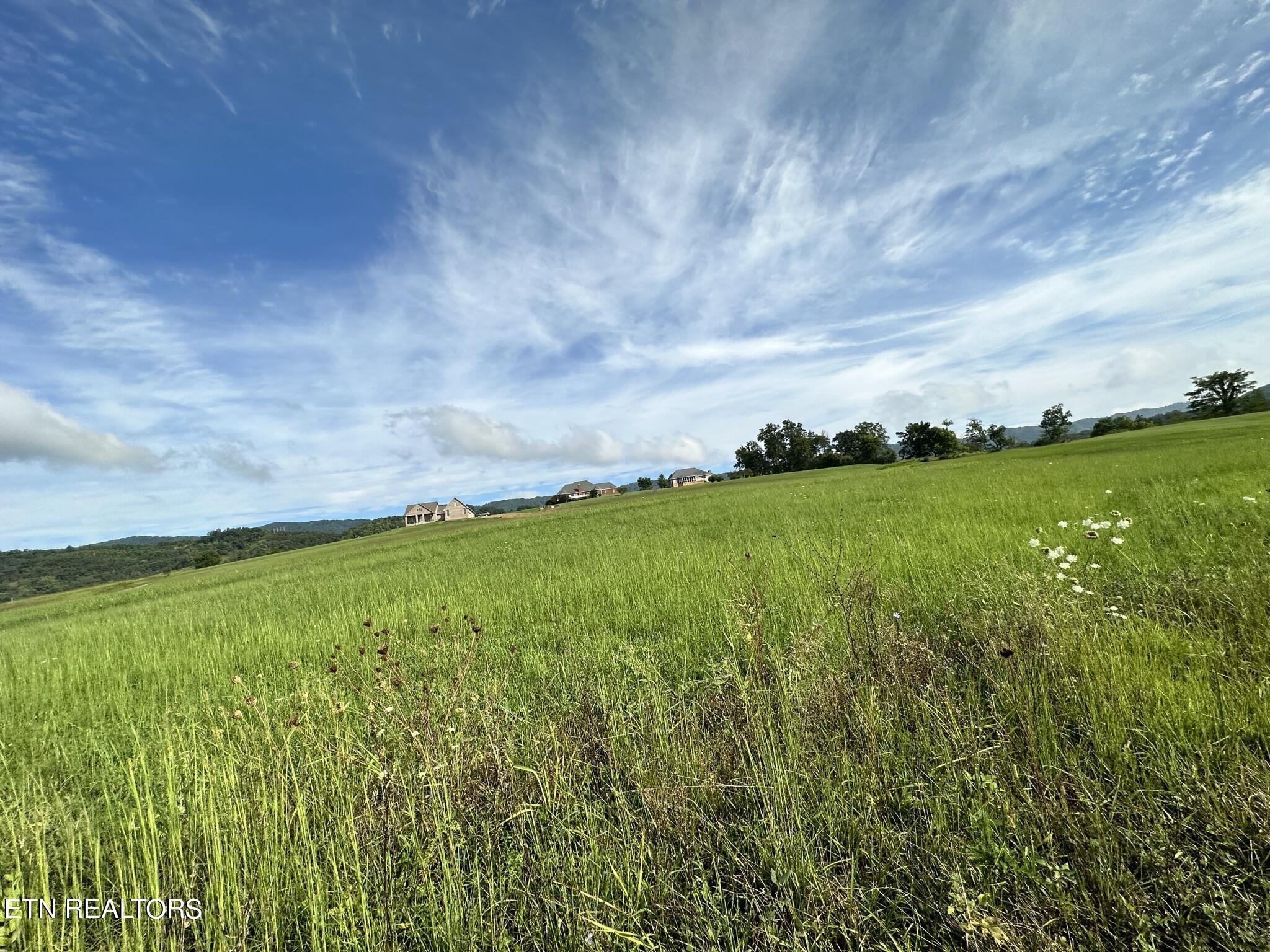 Image 4: IMG_4235