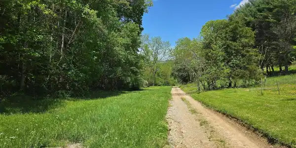 000 Dooley Hollow Rd