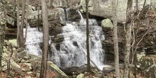 Old Spencer Road - 100 Acres