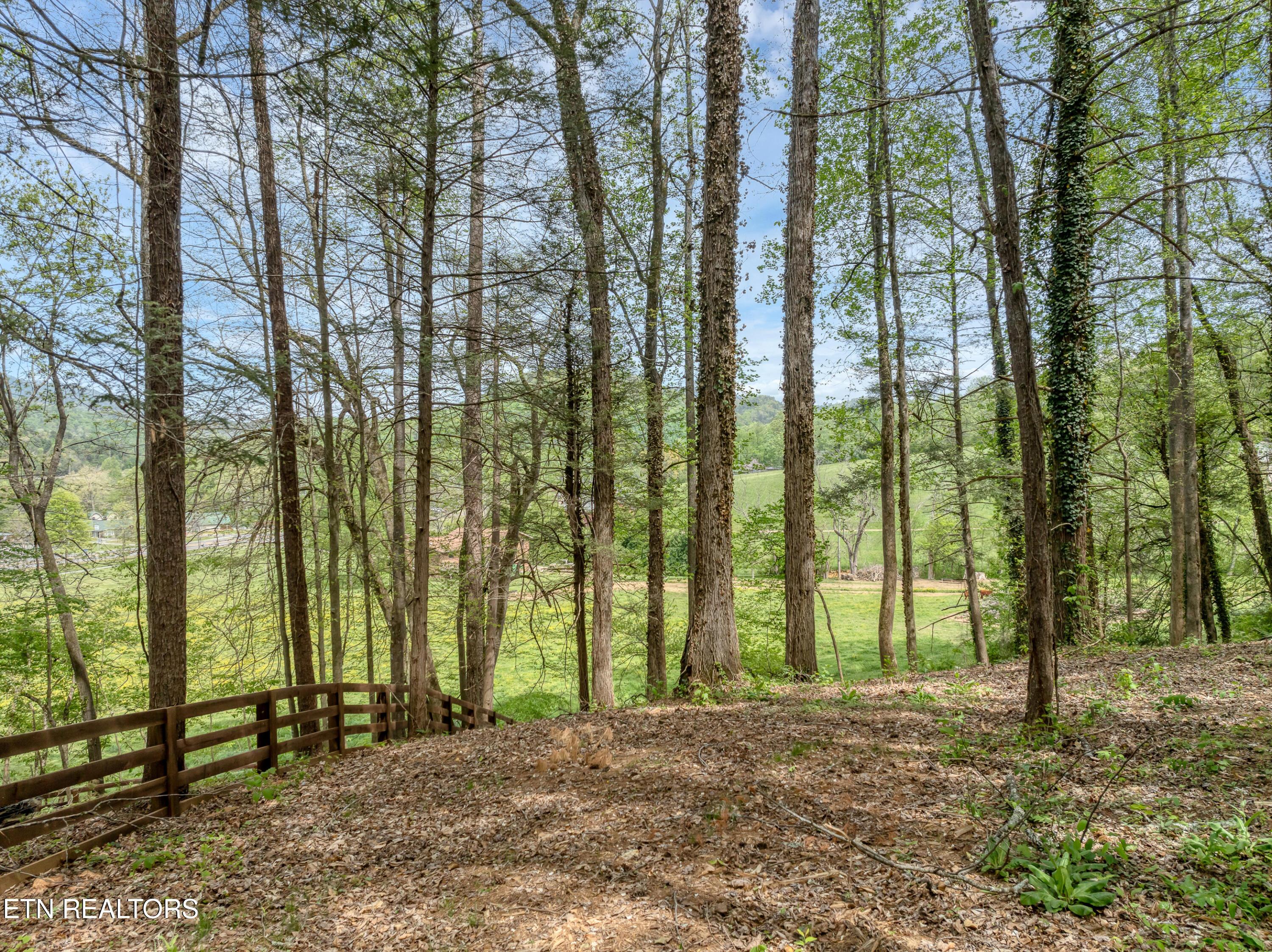 Image 3: DJI_0501