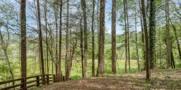Image 3: DJI_0501
