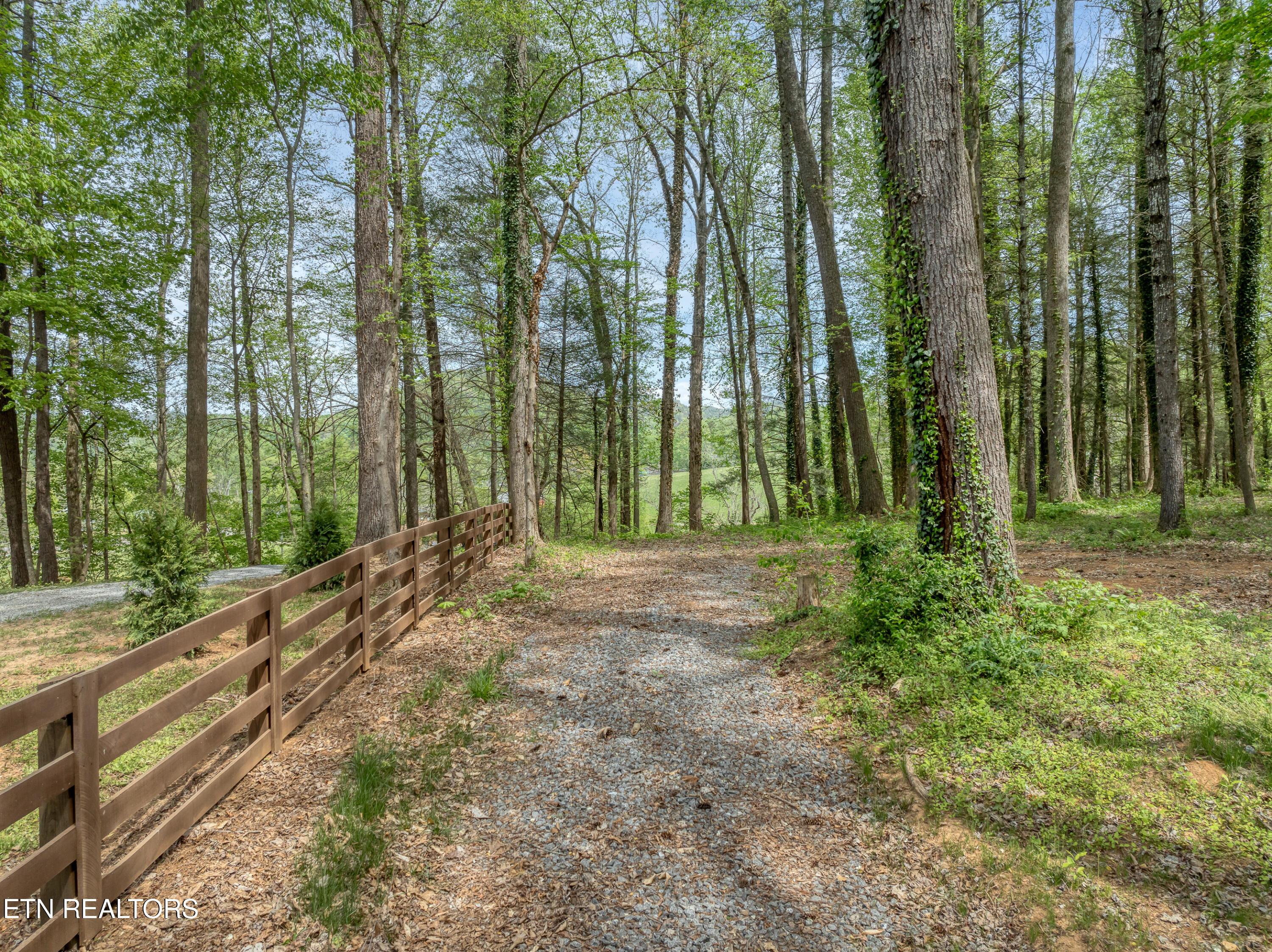 Image 4: DJI_0498