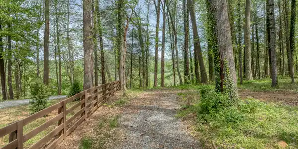 Image 4: DJI_0498