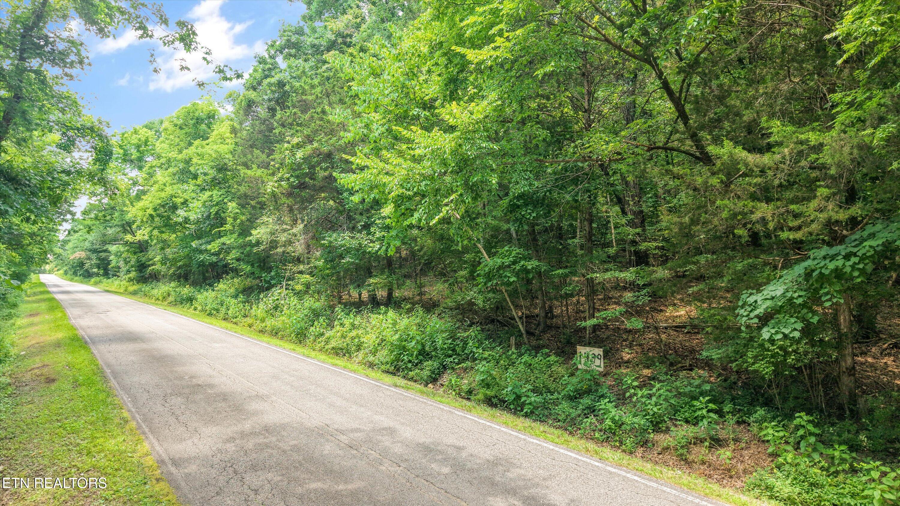 Image 3: 10-1499 Dogwood Valley Rd 02