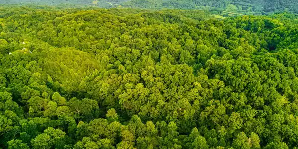 Image 3: DJI_20260727190214_0353_D_DTM4P-HDR