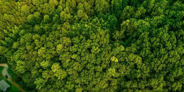 Image 4: DJI_20260727190242_0356_D_DTM4P-HDR
