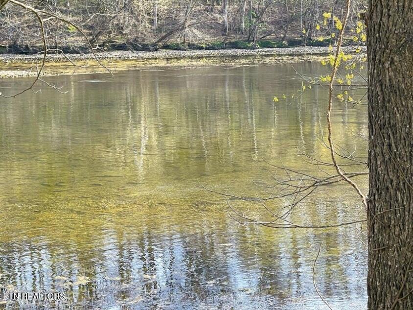 Image 4: Holston Shores C