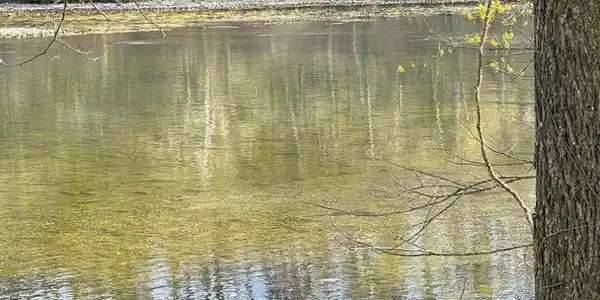Image 4: Holston Shores C