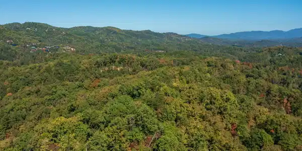 Image 3: Private Wooded Paradise Close to town