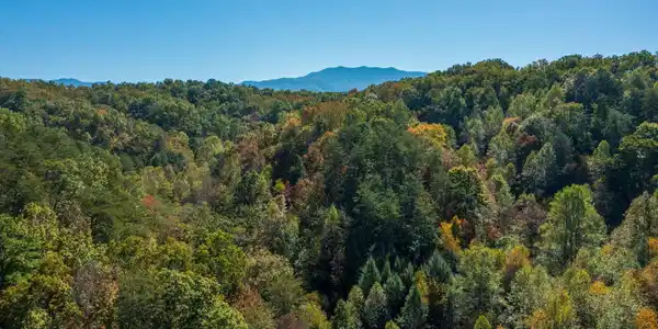 Image 4: Views of Mount Le Conte