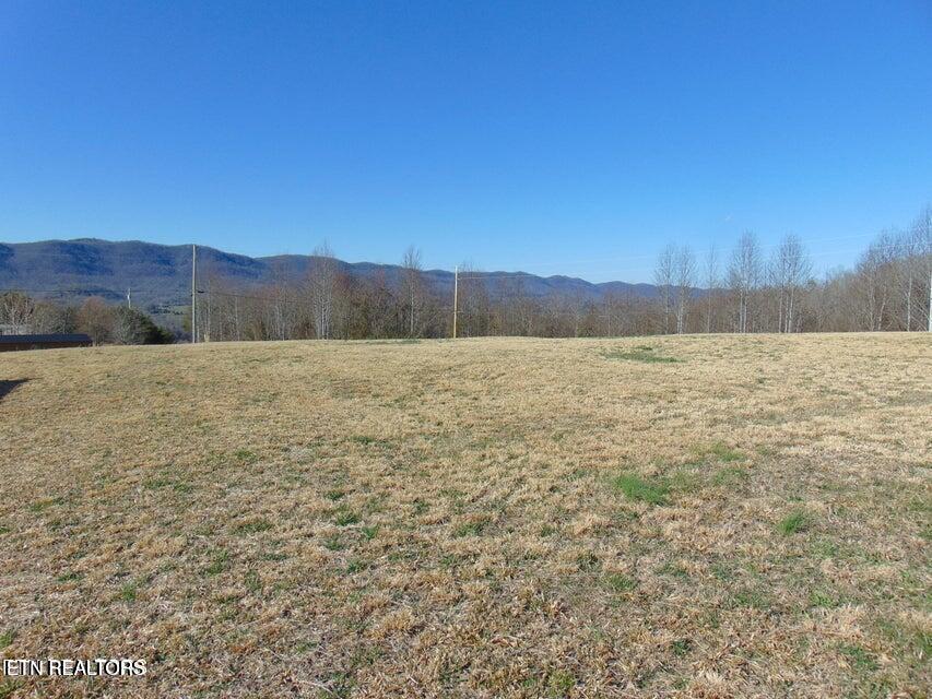 Image 4: 4