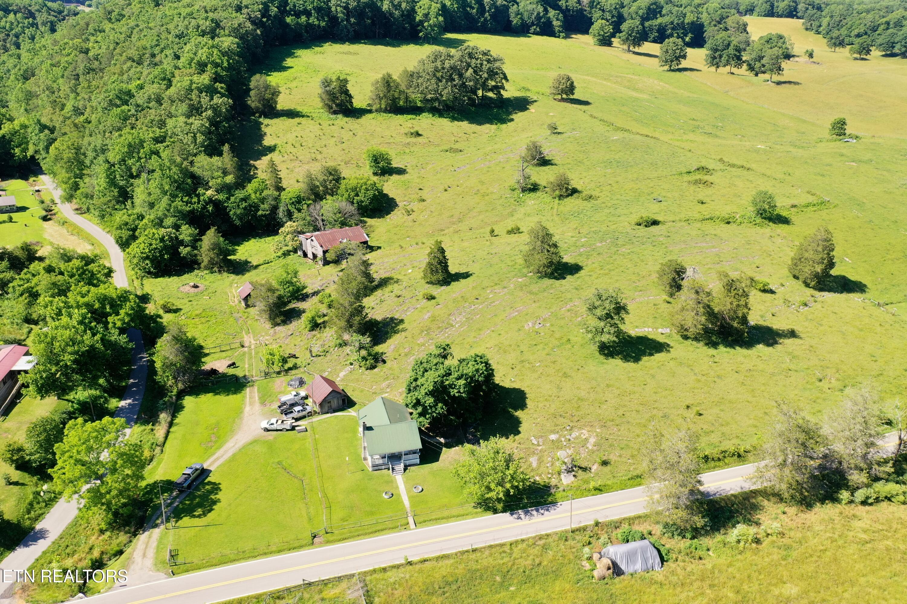 Image 3: DJI_0890