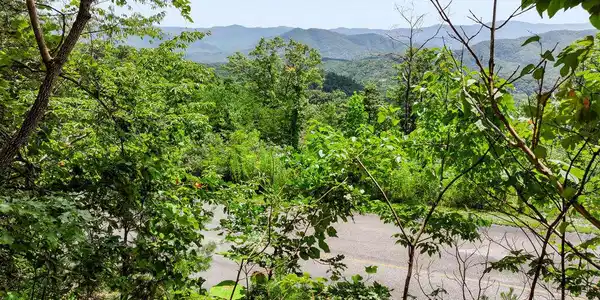Image 2: Views Near Settlers View