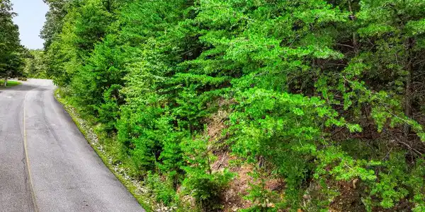 Image 3: Road Frontage