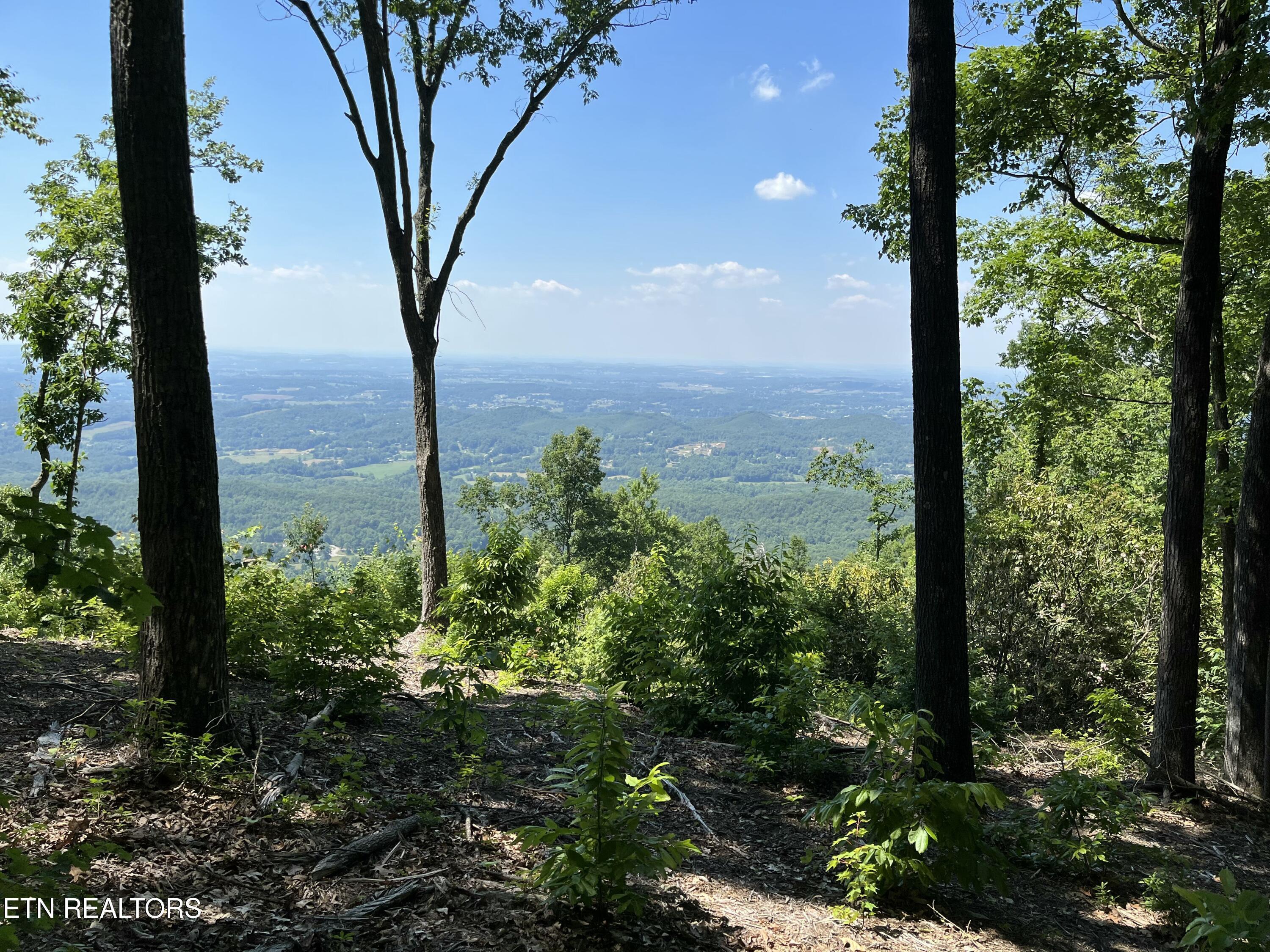 Image 4: IMG_0739
