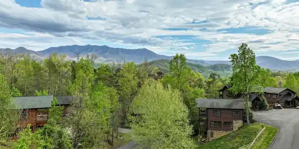 Image 3: drone view
