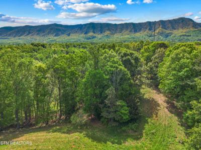 County Line Rd
