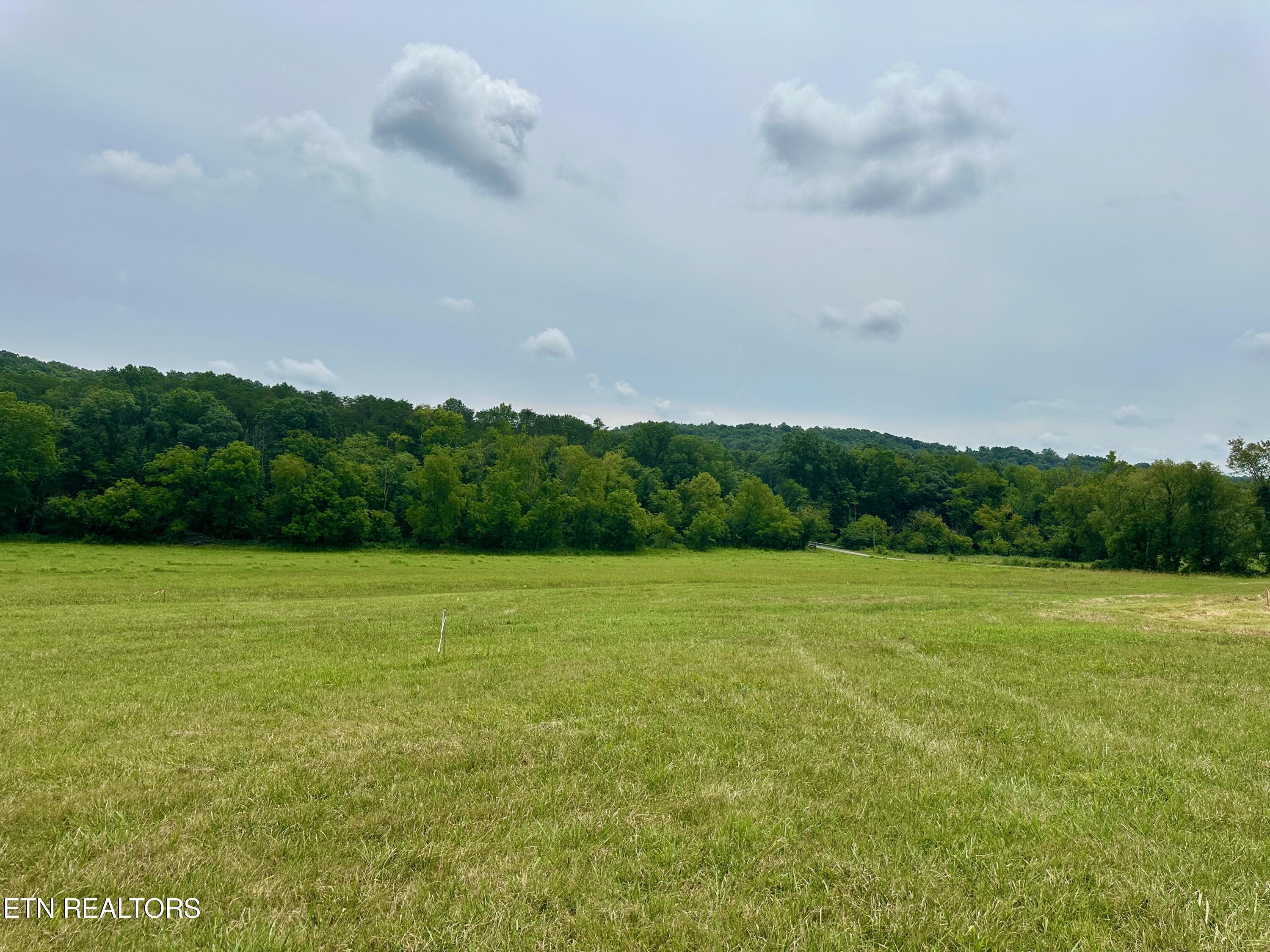 Image 1: rutledge lot3