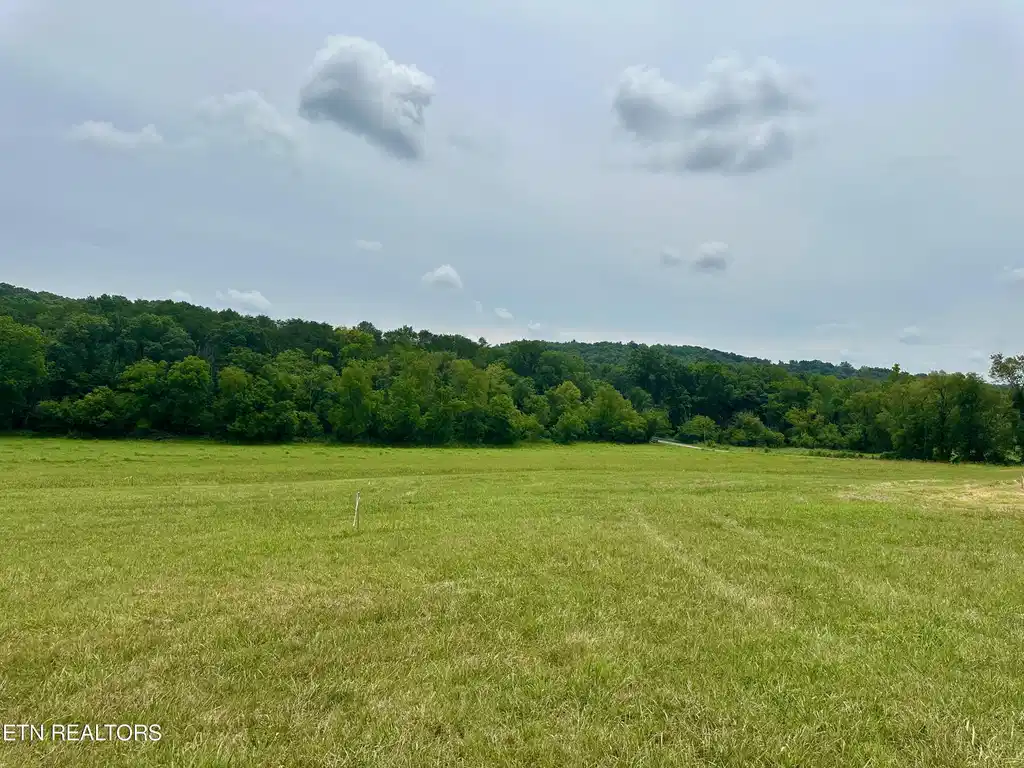 Image 1: rutledge lot3