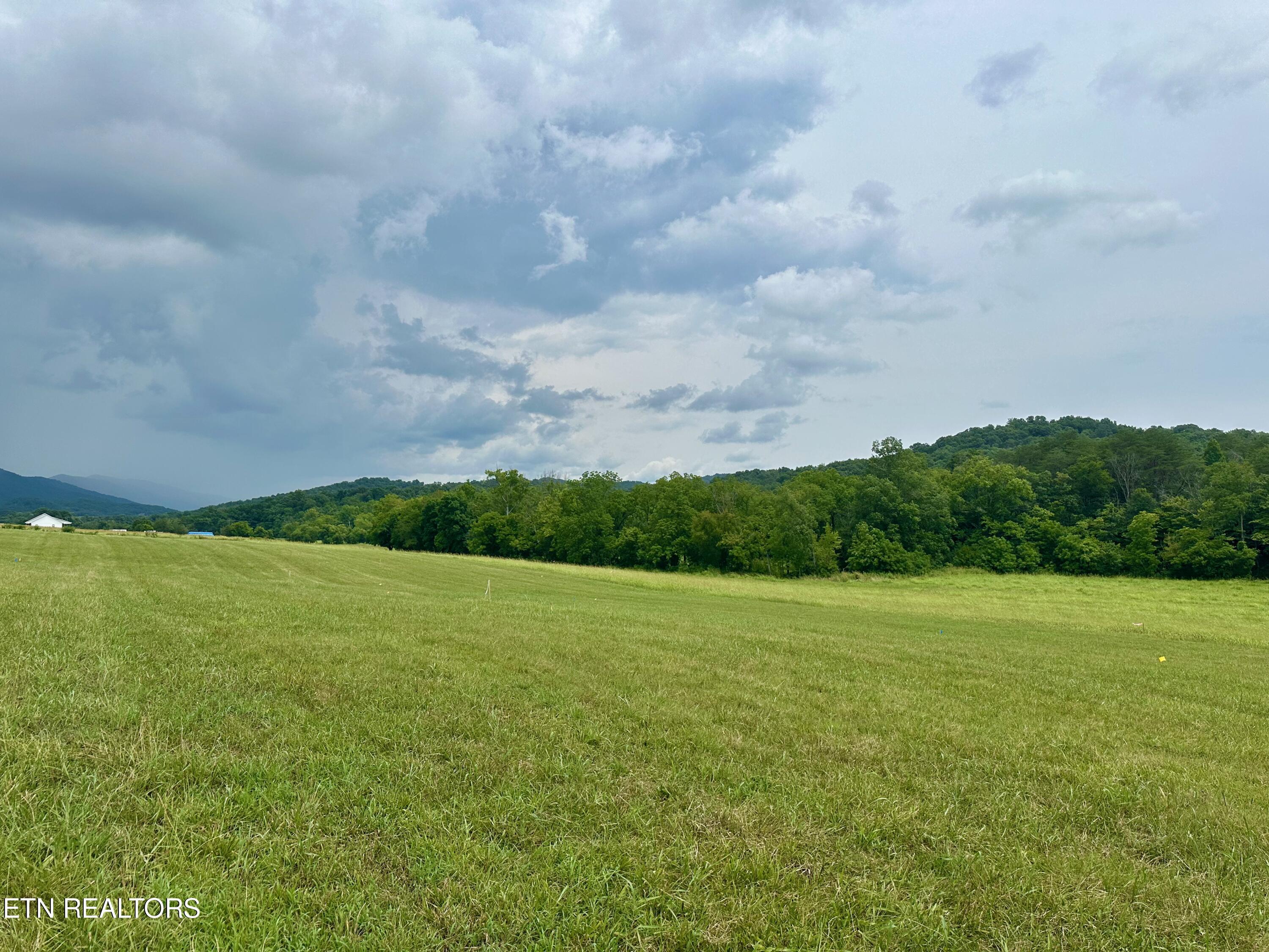 Image 2: rutledge lot2