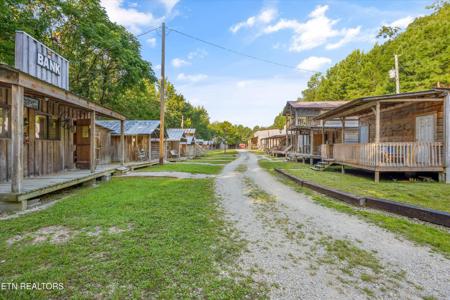 517 Adkins Tr