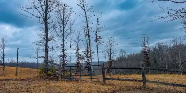 1682 Clifty Creek Rd