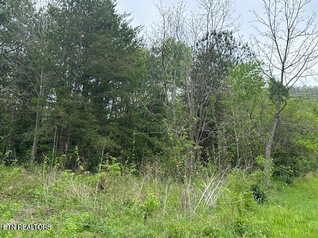 Image 4: 20250423185624565664000000-o