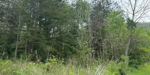 Image 4: 20250423185624565664000000-o