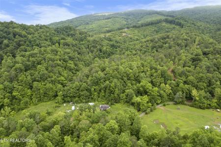 361 Skaggs Hollow Rd