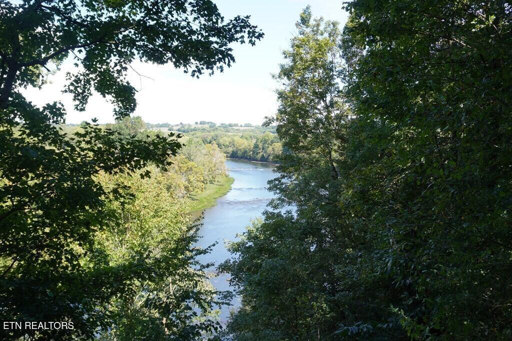 Image 4: river mist thompson (8)