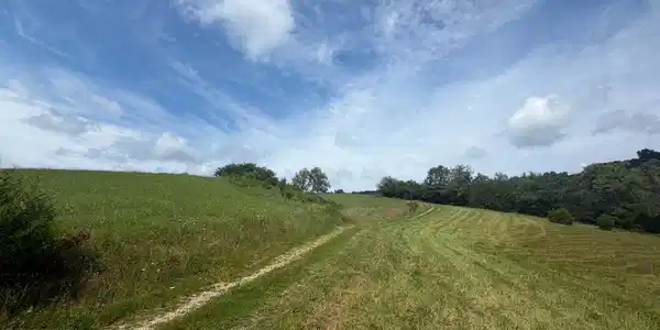 00 Mulberry Gap Rd