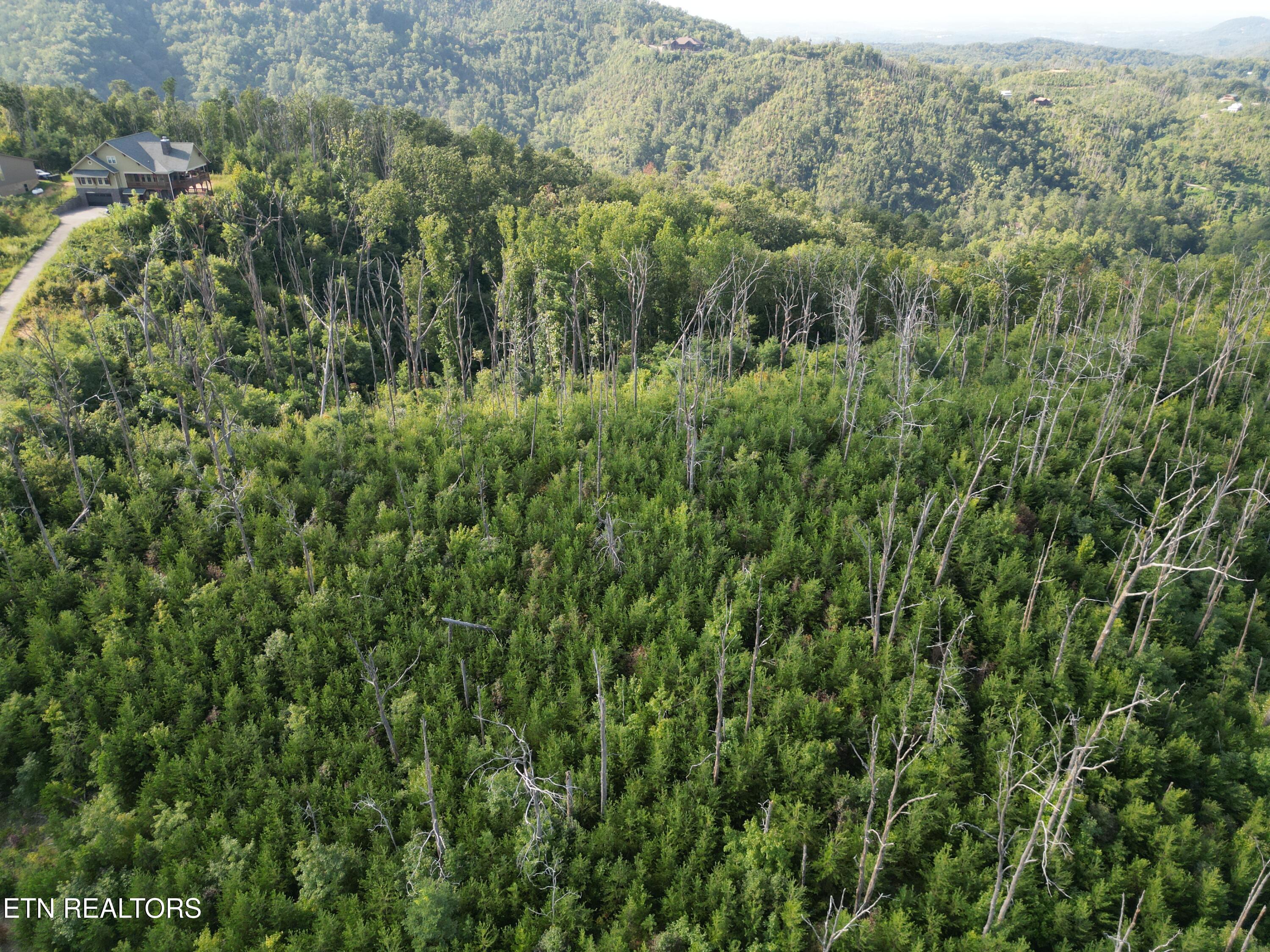 Image 4: 5318135_DJI_0030