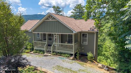 228 Ace Gap Rd